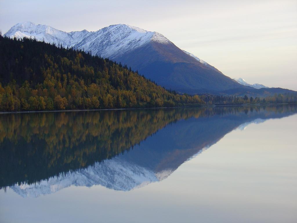 Arctic Paradise B&B Seward Exterior photo