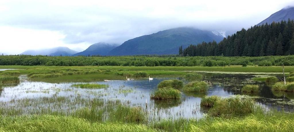 Arctic Paradise B&B Seward Exterior photo